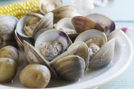 L3.CLAMS