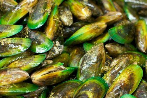 L5.GREEN MUSSEL